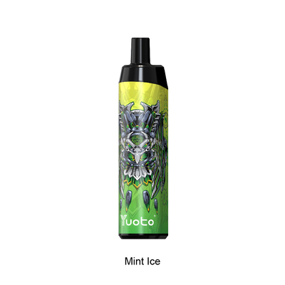 5000 Puffs Descartáveis ​​Vape Fumar Acessórios 14ml Ejuice 650mAh Bateria Mint Ice para EUA REINO UNIDO Espanha Alemanha França